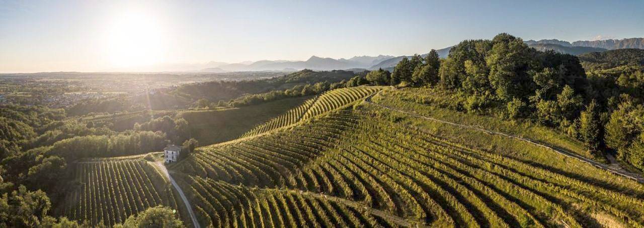 Chambre d’hôte pour 3 personnes, avec vue et jardin à Povoletto - 3