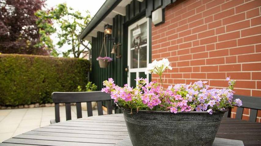 Ferienwohnung für 4 Personen, mit Terrasse, mit Haustier in Kreis Herzogtum Lauenburg - 3