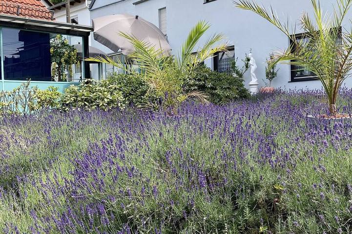 Bauernhof für 2 Personen, mit Terrasse und Pool
