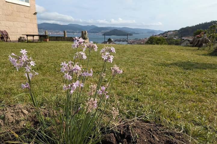 Maison de vacances pour 12 personnes - 1