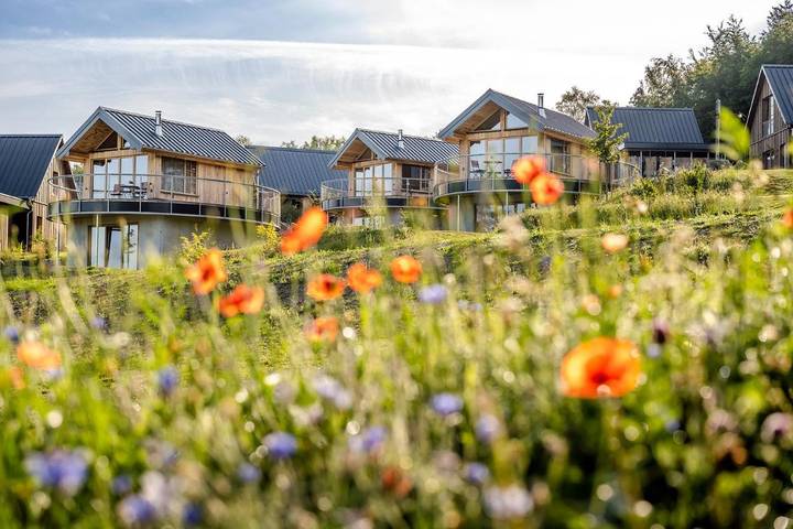 Ferienpark für 2 Personen, mit Ausblick und Sauna sowie Garten, kinderfreundlich im Sauerland - 3