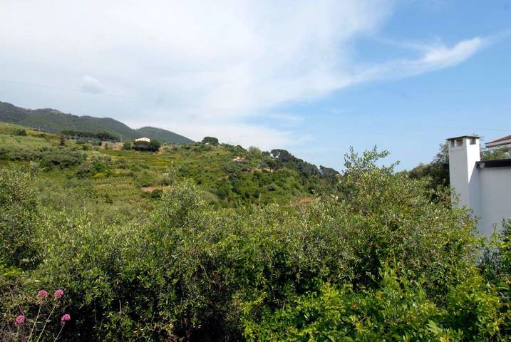 Maison d’hôte pour 2 personnes, avec vue et terrasse, animaux acceptés dans Monterosso al Mare - 4