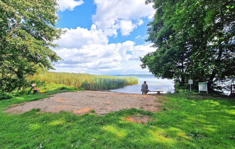 Ferienhaus für 3 Personen, mit Garten in Penzlin - 4