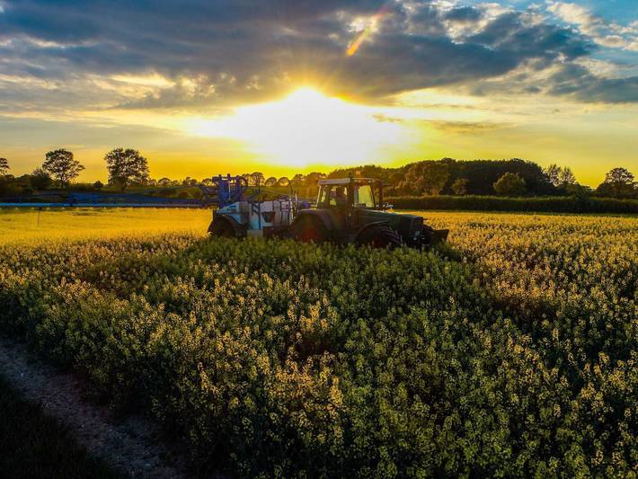 Bauernhaus für 4 Personen, mit Seeblick und Garten sowie Balkon und Ausblick, mit Haustier in Neustadt in Holstein - 3