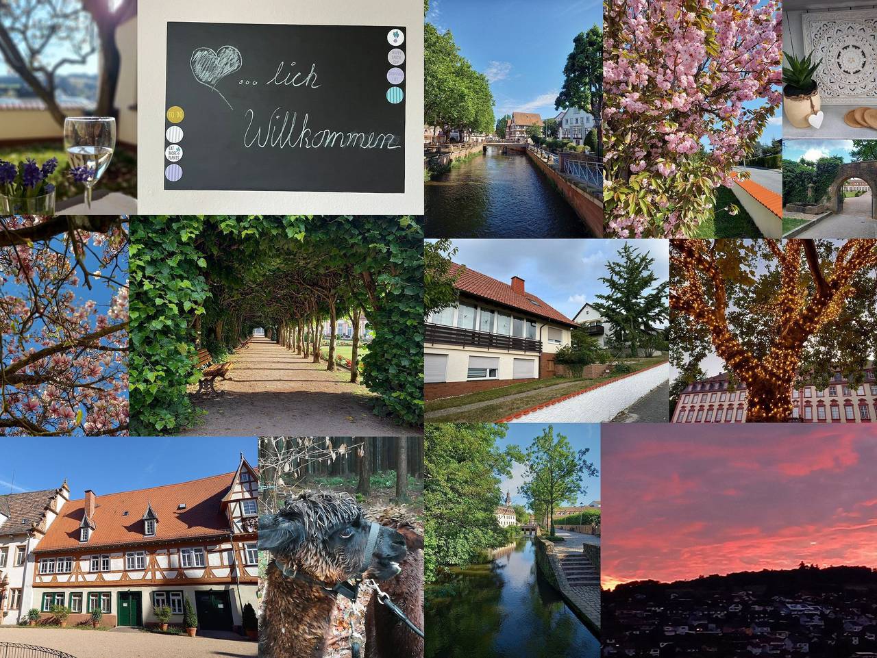 Ganze Ferienwohnung, Odenwald Heaven - Odenwald Heaven in Erbach im Odenwald, Main-Odenwald