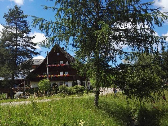 Ferienwohnung für 5 Personen, mit Balkon und Balkon/Terrasse sowie Terrasse in Titisee-Neustadt