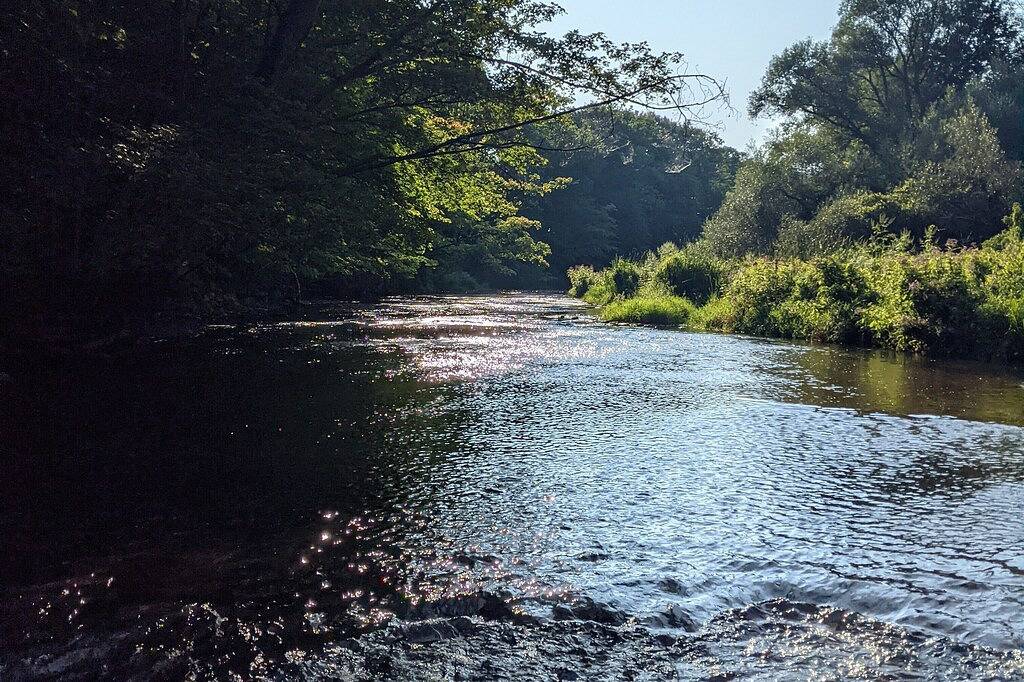 Countryside Cabin on 40 Private Acres Along Johnson Creek in Ontariosee