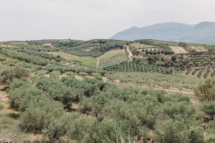 Camping für 2 Personen, mit Garten, mit Haustier auf Kreta - 2