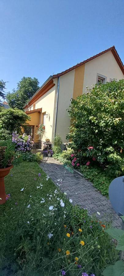Ferienhaus für 3 Personen, mit Terrasse und Garten in Pieschen-Nord/Trachenberge - 4