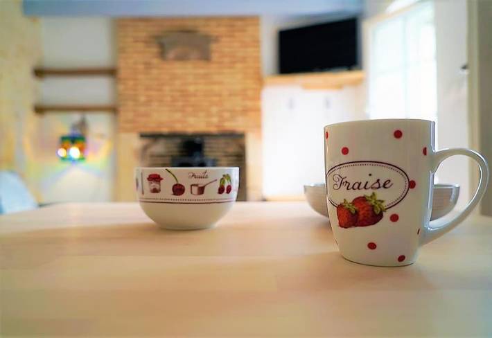 Location de vacances pour 4 personnes, avec jardin et vue à Pocé-sur-Cisse - 3