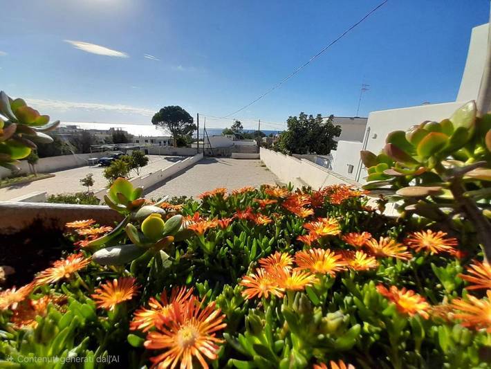 Casa de vacaciones para 4 personas, con vistas y terraza, Se admiten mascotas - 1