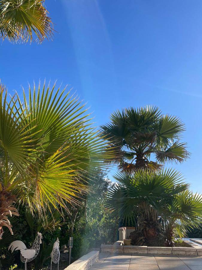 Location de vacances pour 6 personnes, avec jardin ainsi que vue et piscine, animaux acceptés à Oupia - 2