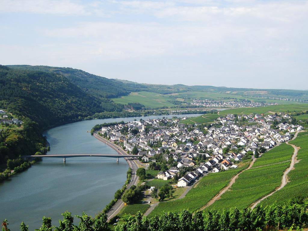 Weingut-Gästehaus Loskill in Mehring, Moseleifel