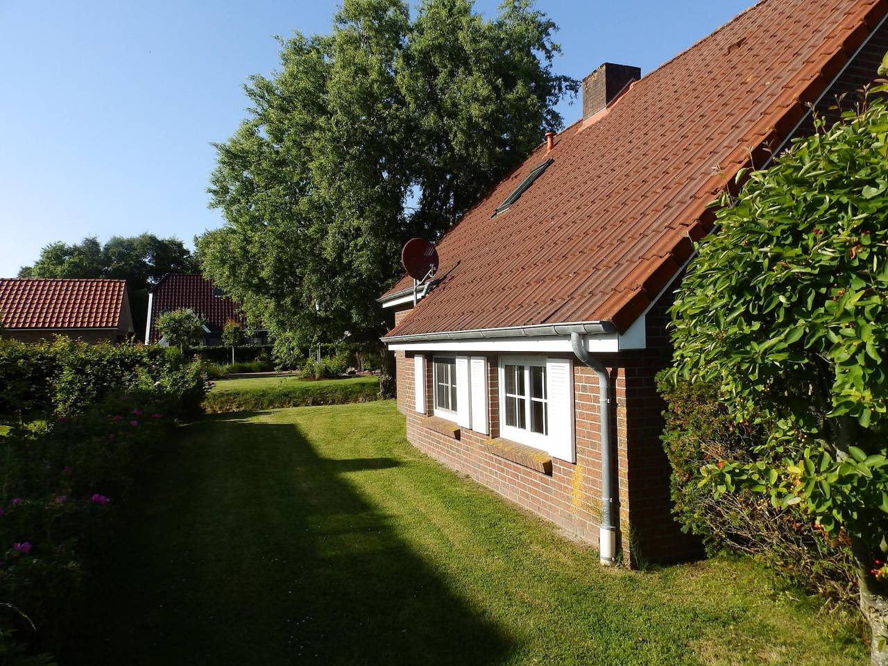 Hauptbild