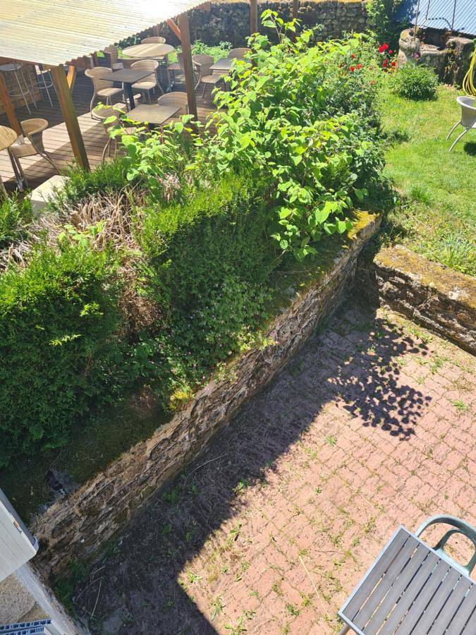 Hôtel pour 2 personnes, avec terrasse ainsi que vue et jardin, animaux acceptés à Saint-Julien-aux-Bois - 3