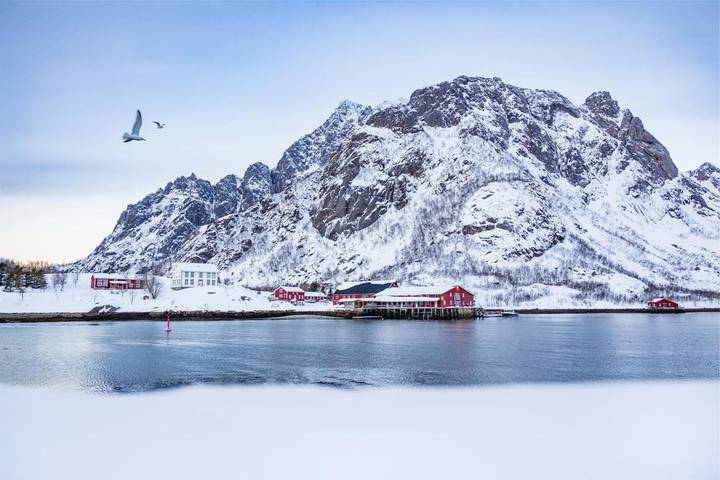 Ferienhaus für 6 Personen, mit Sauna und Garten sowie Ausblick auf den Lofoten