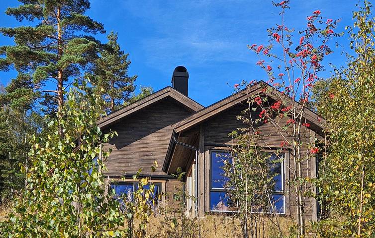 Ferienhaus für 9 Personen mit Terrasse in Nissedal