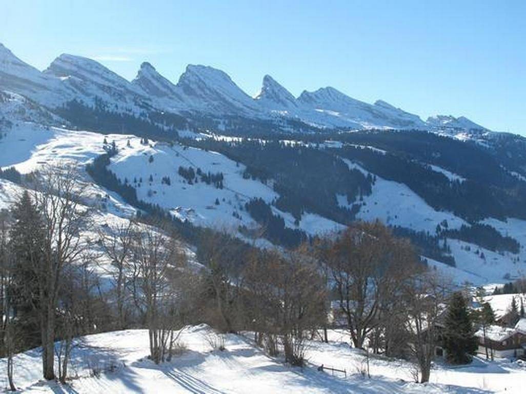 Ganze Ferienwohnung, Fewo mit Bergblick in Wildhaus-Alt St. Johann, Kanton St. Gallen