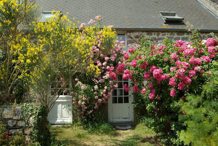 Gîte pour 4 personnes, avec jardin et terrasse en Normandie - 2