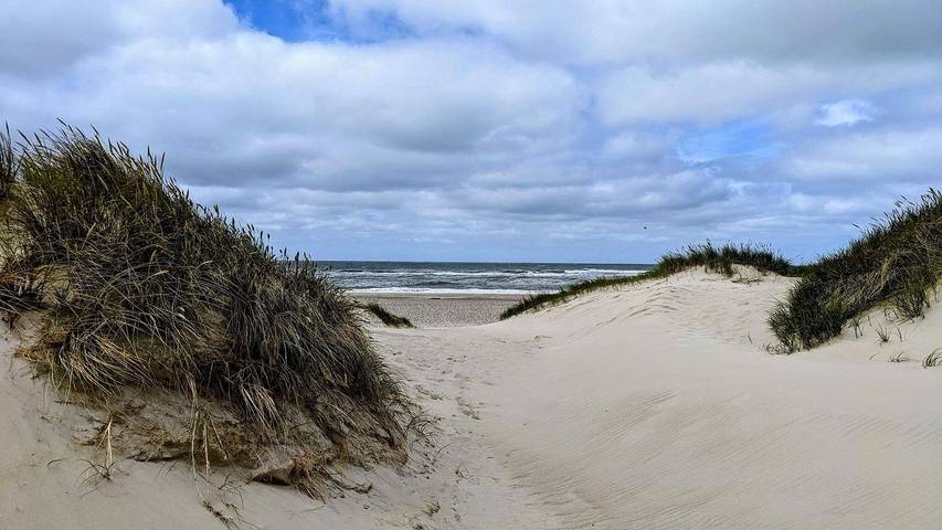Ferienhaus für 11 Personen, mit Sauna und Pool sowie Terrasse, mit Haustier in Henne Strand - 4