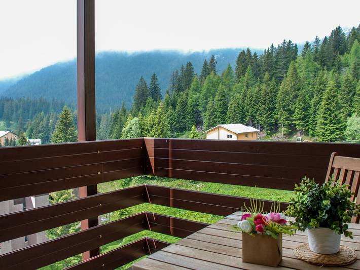 Ferienwohnung für 4 Personen, mit Ausblick und Balkon sowie Sauna, mit Haustier in Misox Calancatal - 4
