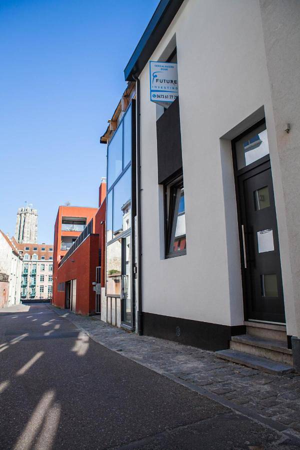 Location de vacances pour 4 personnes, avec jardin à Malines - 3