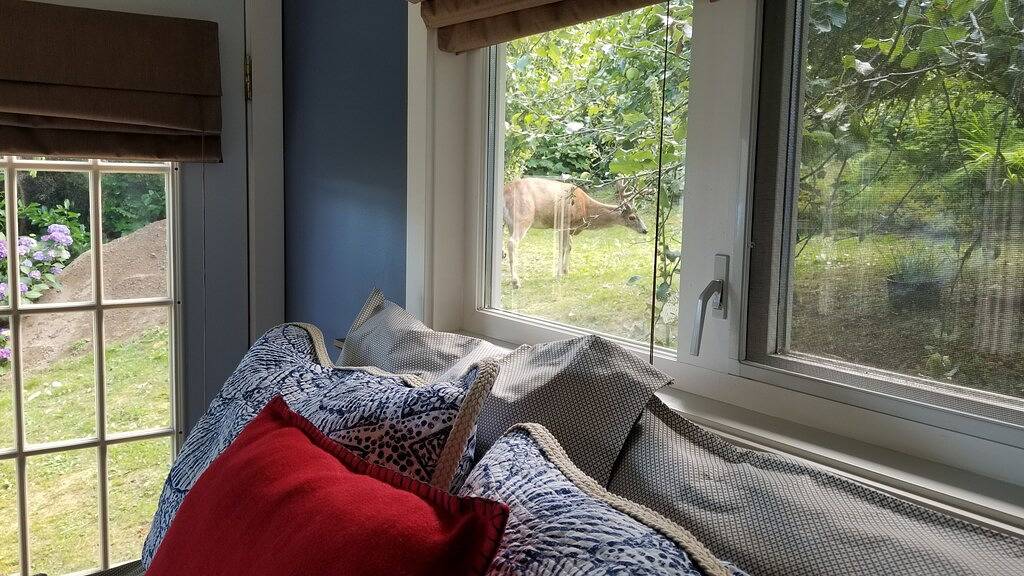 Ihr privater Kurzurlaub! in Sunshine Coast Regional District