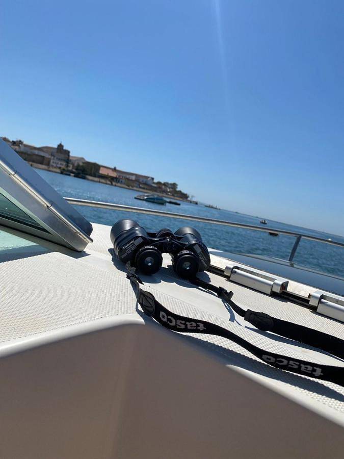 Guestboat Milagre in São Pedro (Faro), Faro