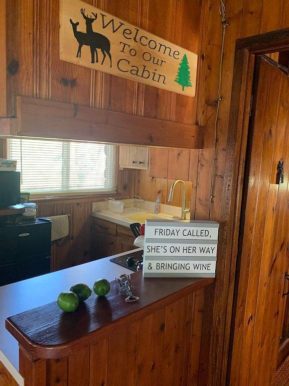 Port Sanilac Blockhaus - Unglaublich süß! in Sanilac County