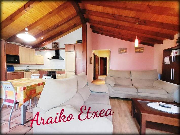 Casa de vacaciones para 17 personas, con jardín además de vistas y terraza, Se admiten mascotas en Álava - 4