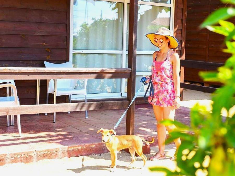 Camping Resort Els Pins - Bungalow 5 personen - Comfort in Malgrat de Mar, Costa del Maresme