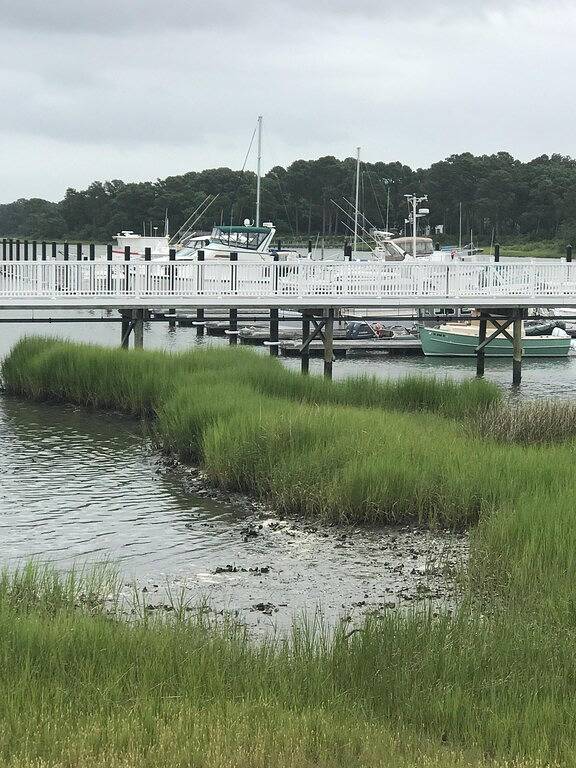 \"Cape Escape\" - Blick auf das Wasser, kurzer Spaziergang zum Strand und tierfreundlich in Cape Charles, Chesapeake Bay