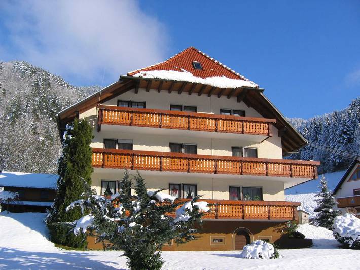 Ferienwohnung für 4 Personen, mit Balkon und Garten in Elzach - 3