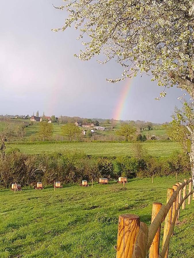 Gîte pour 6 personnes, avec vue et jardin, animaux acceptés à Cressanges - 3