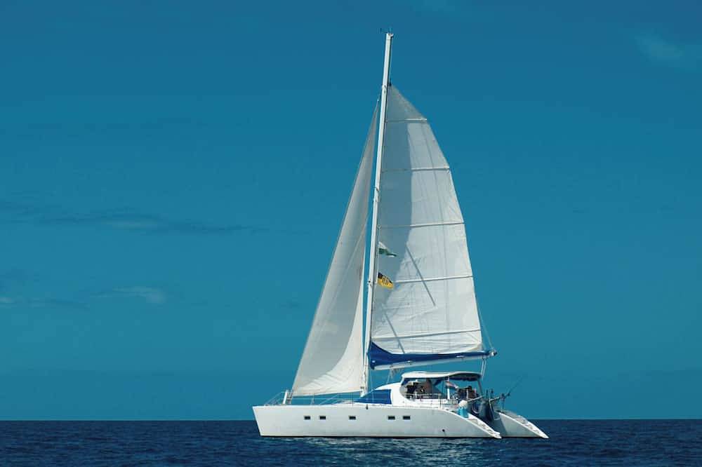 Sleep Under the Stars on a Sailing Catamaran near Amsterdam in Monnickendam, Markermeer