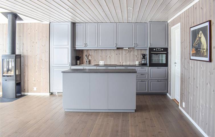 Ferienhaus für 5 Personen, mit Garten und Terrasse, mit Haustier in Ost-Norwegen - 3