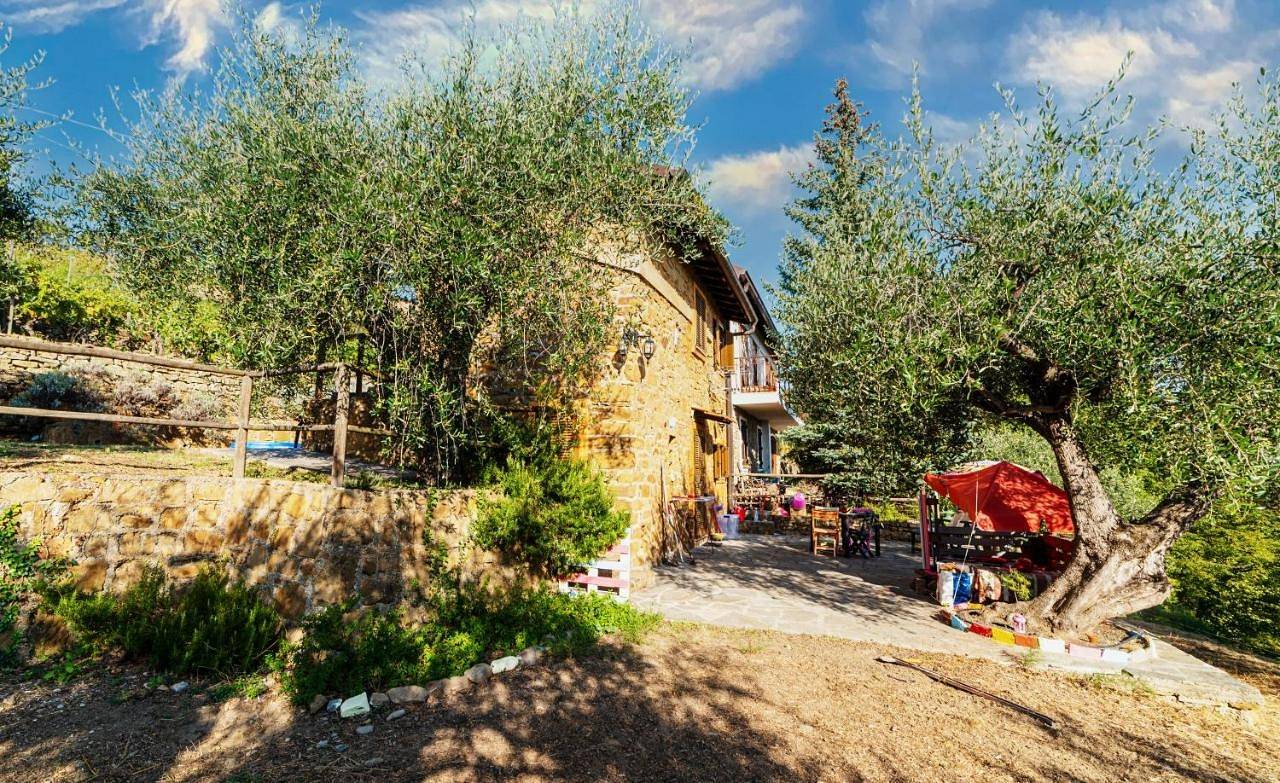 Casetta Maduneta immersa in un oliveto in Dolceacqua, Ligurische Alpen