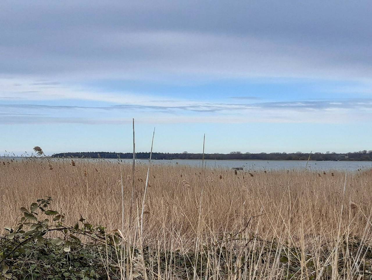 Ganze Ferienwohnung, Kleine Auszeit - Kleine Auszeit in Körkwitz, Ribnitz-Damgarten