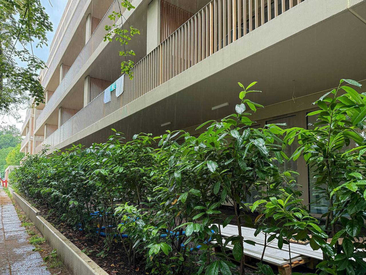 Ganze Ferienwohnung, Greeneri Park A.02 in Swinemünde, Stettiner Haff