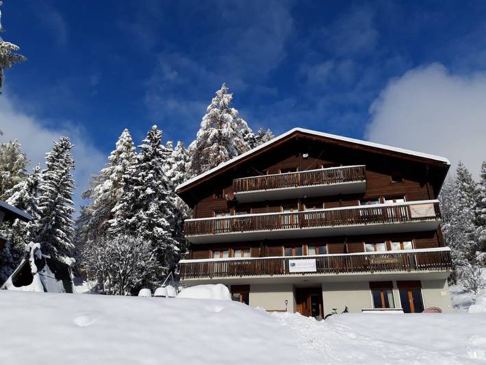Ganze Ferienwohnung, Lärchenwald Lodge - Appartement Ried (2 1/2 Zimmer) in Fürgangen, Bellwald
