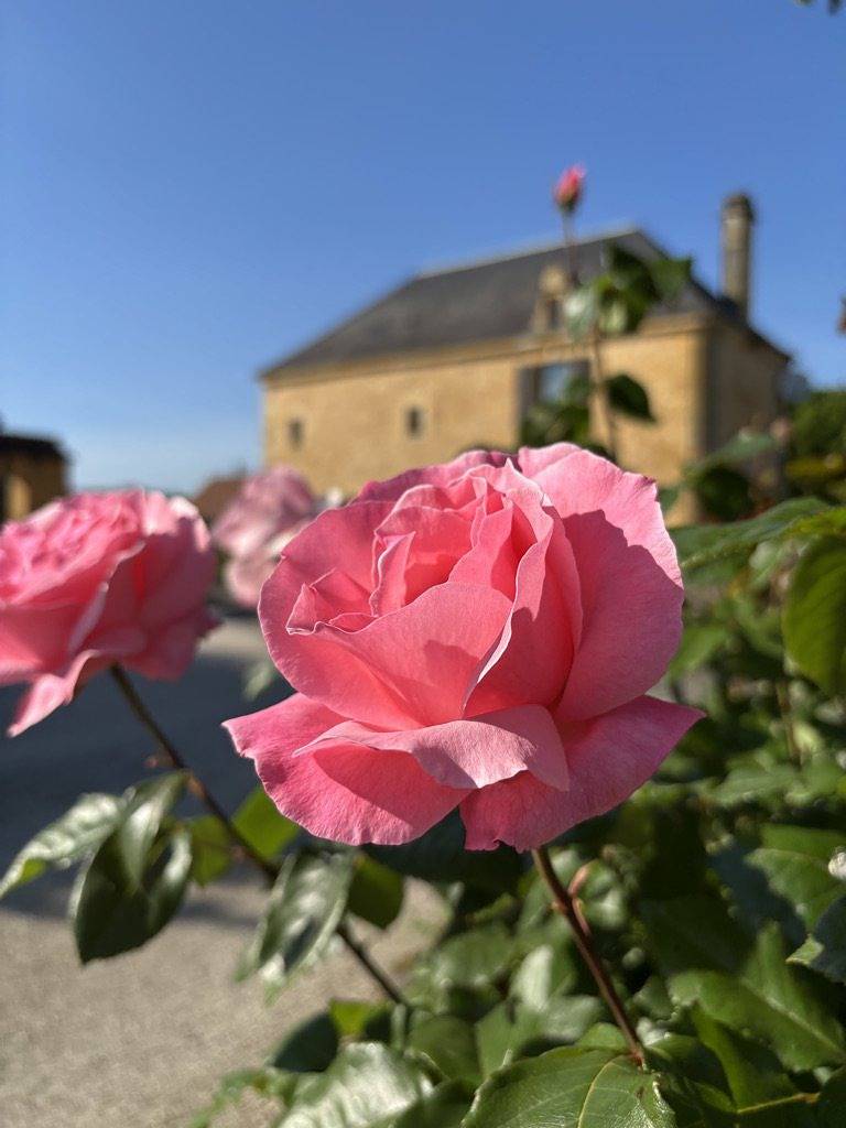 Chambres d'hôtes Les Clauzels - Chambre d'hôte Clémentine in Proissans, Périgord Noir