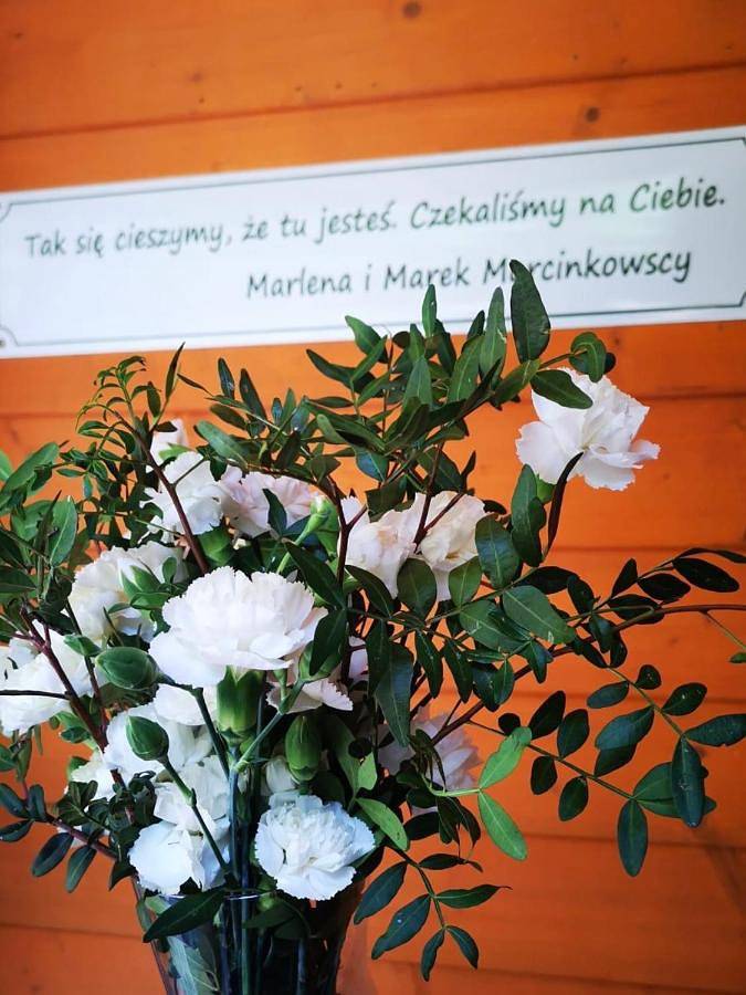 Pensjonat Alpejski Dwór in Międzygórze, Sudety (Polska)