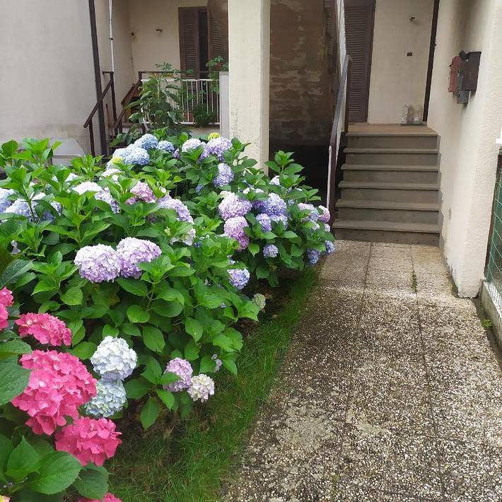 Apartamento de vacaciones para 4 personas, con jardín además de vistas al lago y vistas - 1