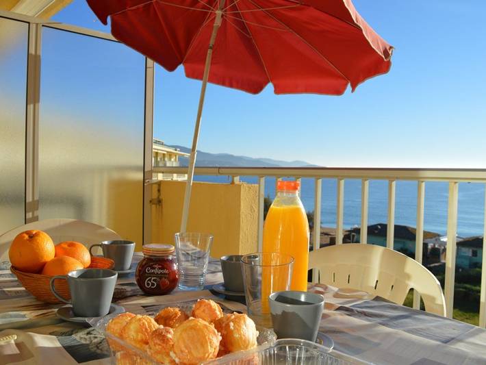 Gîte pour 4 personnes, animaux acceptés dans Plage Du Lavandou Le Lavandou - 3