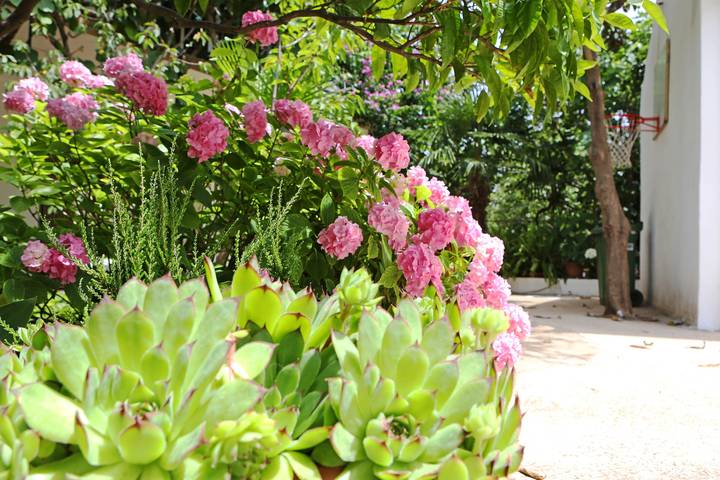 Ferienwohnung für 2 Personen, mit Balkon/Terrasse in Bibinje - 4