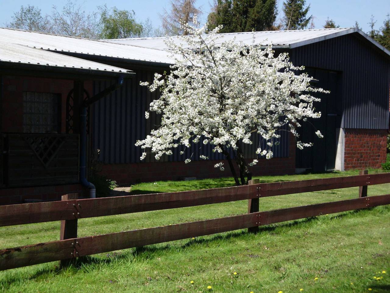 Ganze Ferienwohnung, Ferienwohnung Verdenhalven - Ferienwohnung Verdenhalven 1 in Holste, Bremerhaven Cuxhaven