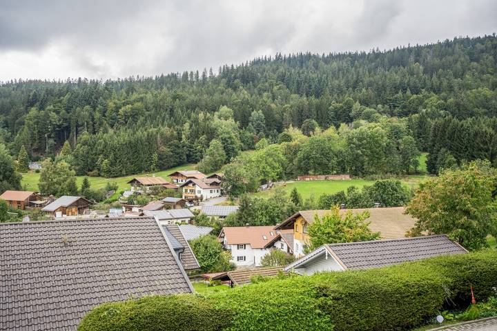 Entire apartment, Zellertalblick Holiday Apartment with Balcony in Bodenmais, Eastern Bavaria