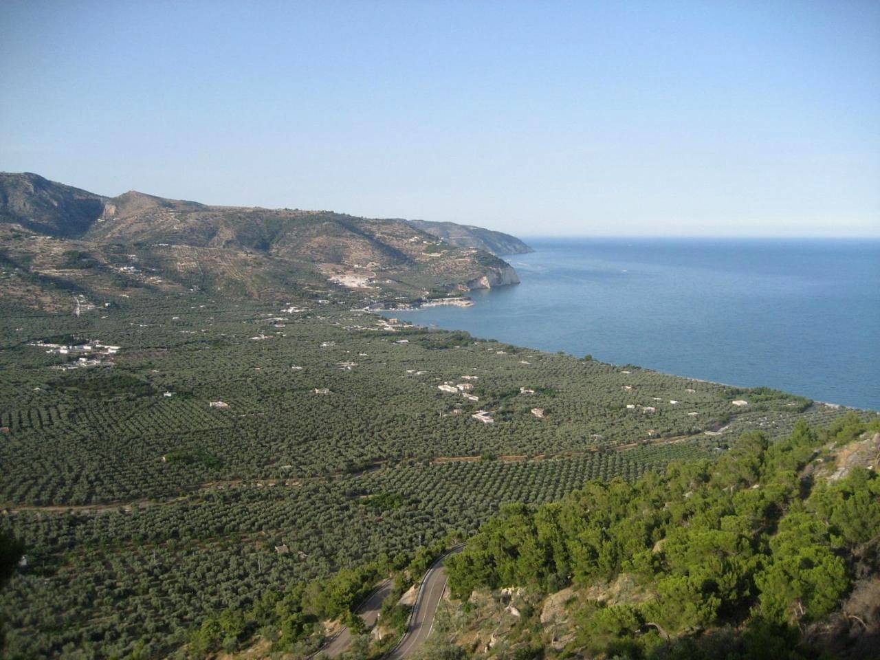 Mattinata Camping in Mattinata, Gargano