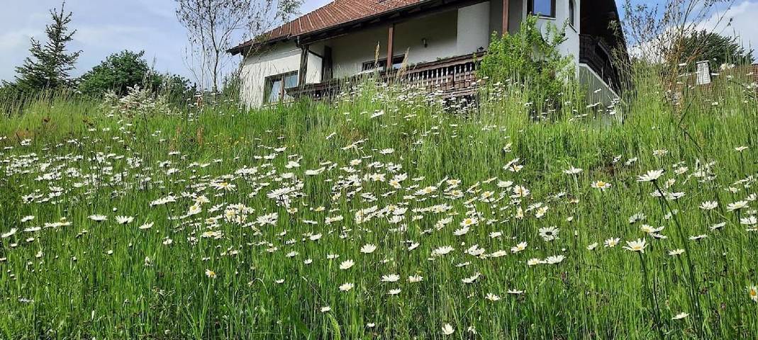 Appartement entier, Appartement de vacances pour 4 personnes avec balcon in Ochsenkopf, Fichtelberg