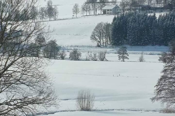 Ferienhaus für 12 Personen, mit Sauna und Garten sowie Balkon, mit Haustier
